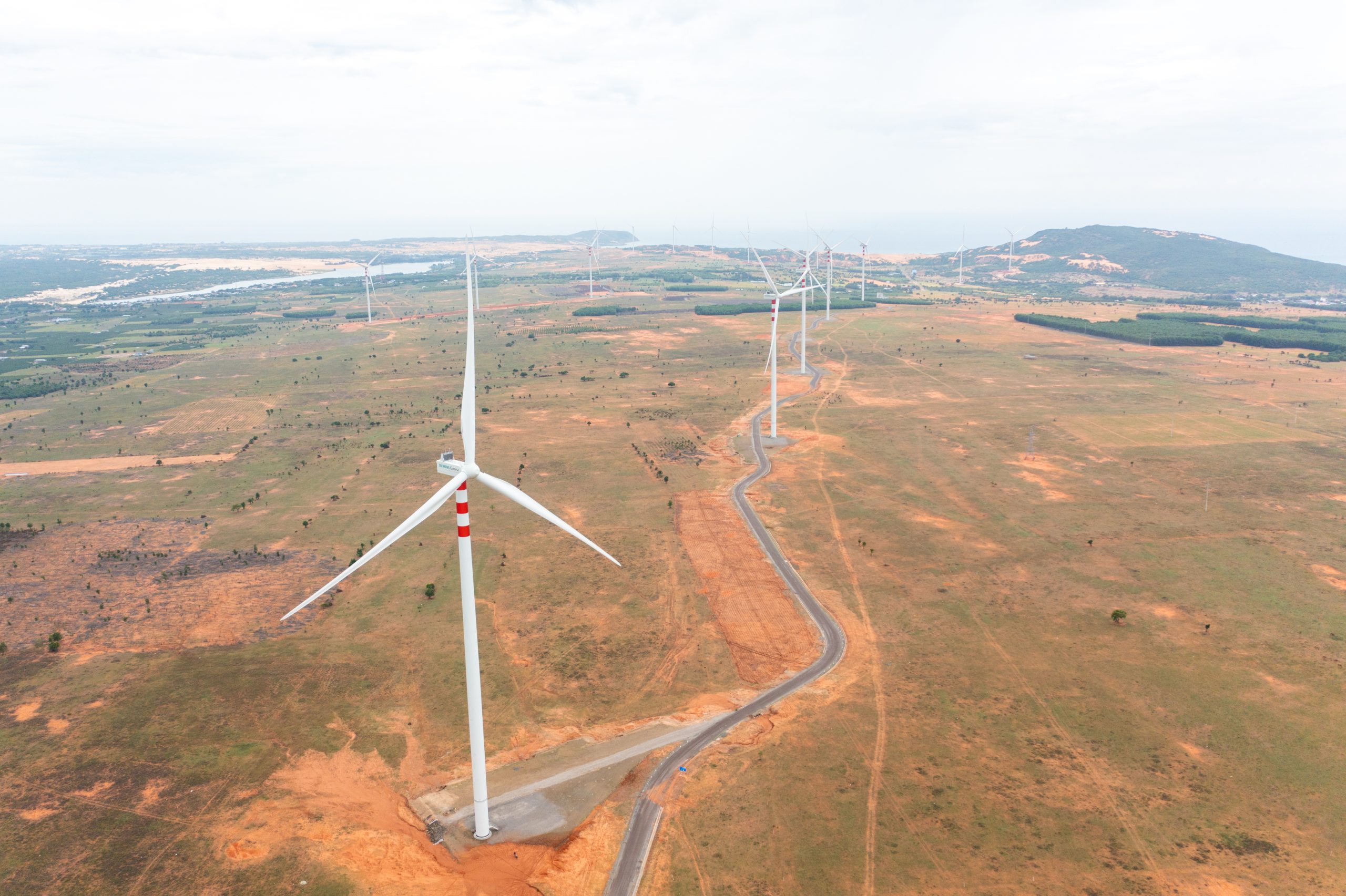 Wind farm in Binh Thuan